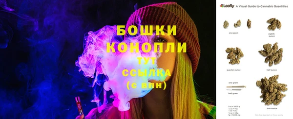 шишки Алексеевка