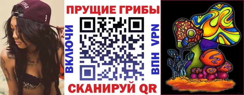 Галлюциногенные грибы Magic Shrooms  Завитинск 